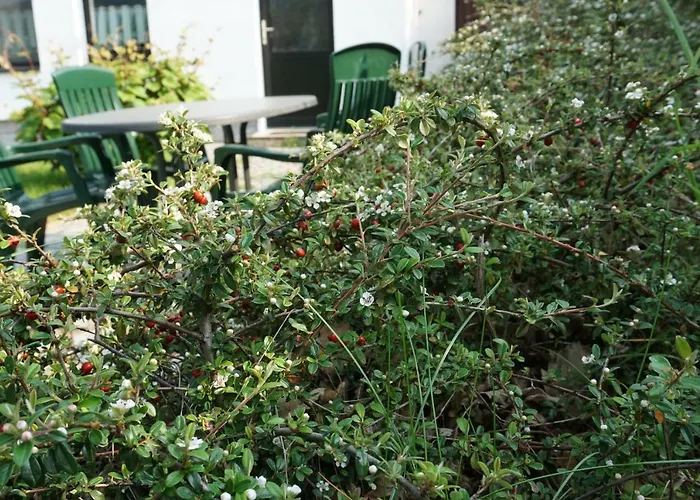 Czornebohblick * Kubschutz